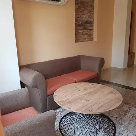 Elegant Loft Daire *