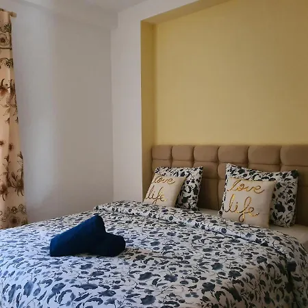 Elegant Loft Daire